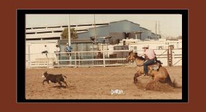 shortys rambler calf roping.jpg